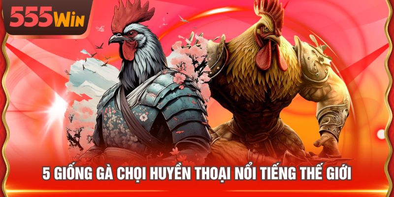 5 giống gà chọi huyền thoại nổi tiếng thế giới
